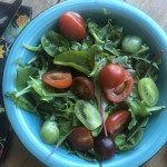 Vorspeise: Wildkräutersalat mit aromatischen kleinen Tomaten in türkiser Schale mit frischem Gemüse als Dekoration